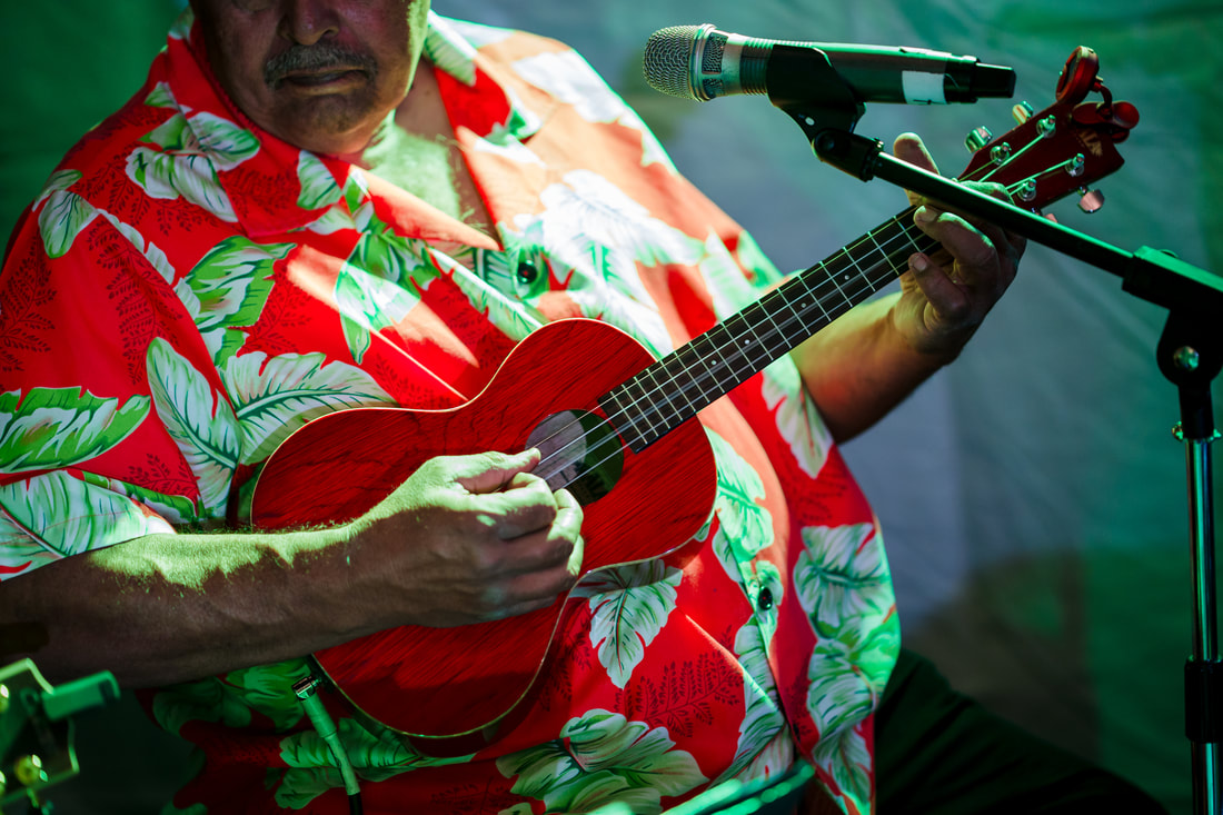 Hawaiian Musician Ukulele Player