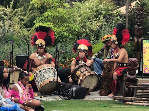 Tahitian Drummers Polynesian Drummers